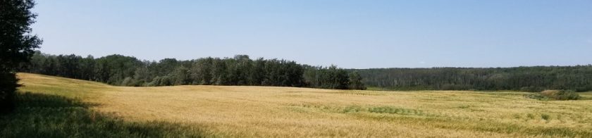 Memoirist. Prairie Blogger.